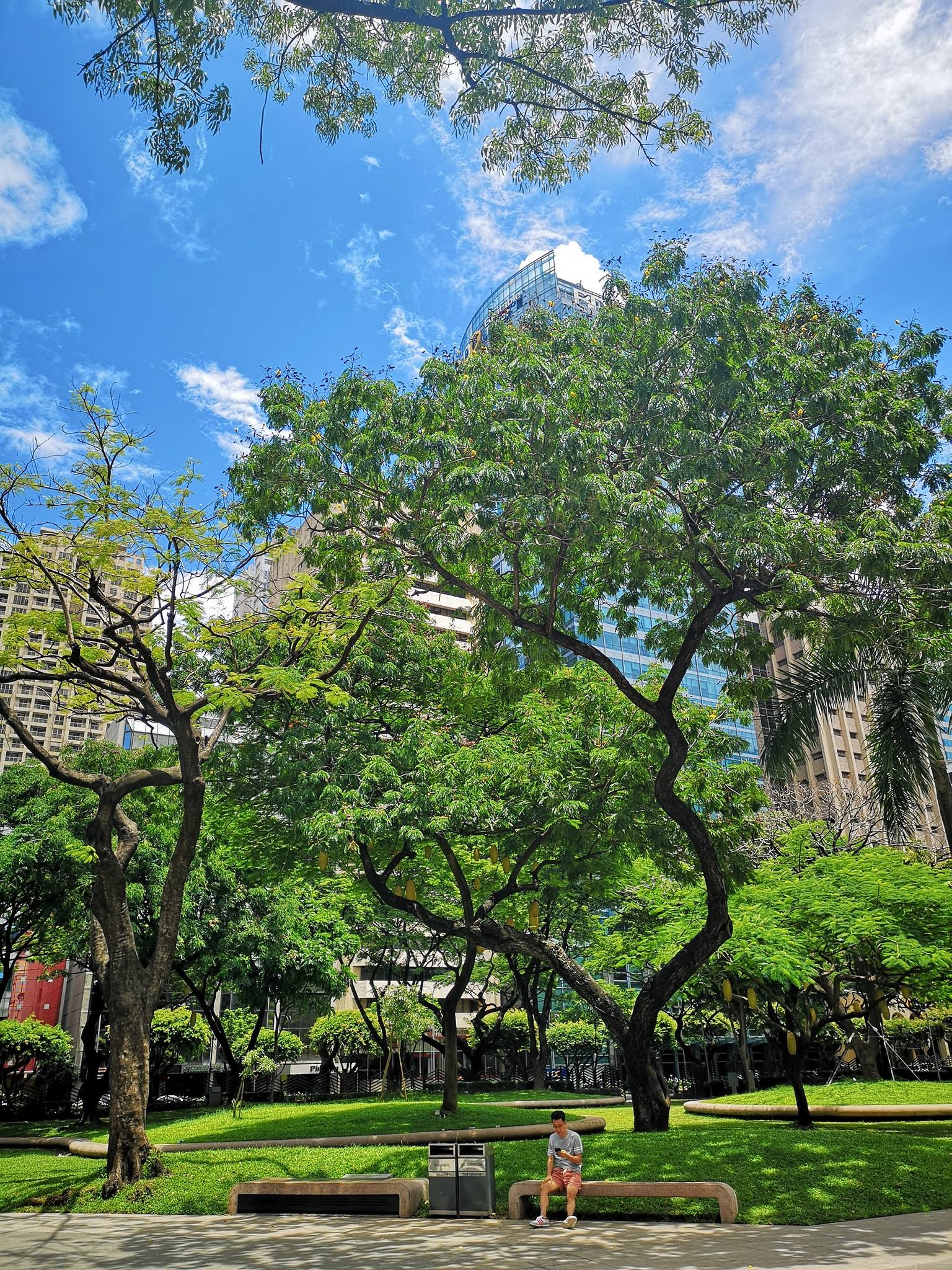 Visit The Ayala Triangle Gardens